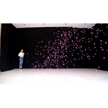 Pink or Blue Picture Perfect reveal Gender Reveal Confetti Shooter